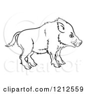 Poster, Art Print Of Outlined Chinese Zodiac Boar In Profile