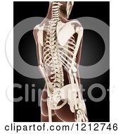 Clipart Of A 3d Medical Female Xray With Visible Skeleton On Black Royalty Free CGI Illustration