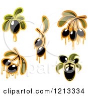 Poster, Art Print Of Black Olives With Leaves And Dripping Oil