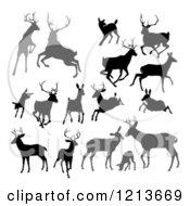 Clipart Of Gray And Black Silhouetted Deer Stags Bucks Does And Fawns 2 Royalty Free Vector Illustration