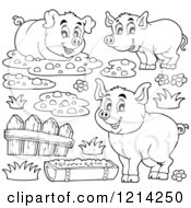 Outlined Happy Pigs With Mud A Fence And Slop