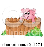 Poster, Art Print Of Happy Pig Looking Over A Fence