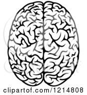 Clipart Of A Black And White Human Brain Royalty Free Vector Illustration