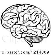 Clipart Of A Black And White Human Brain 2 Royalty Free Vector Illustration