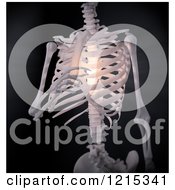 3d Human Skeleton With Glowing Chest And Spine Pain On Black