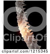 Clipart Of A 3d Human Spine With Glowing Pain On Black Royalty Free Illustration by Mopic