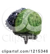 Clipart Of A 3d City And Nature Brain Split By Cerebral Hemispheres Over White Royalty Free Illustration
