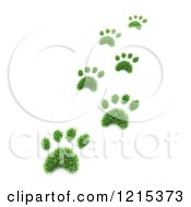 Poster, Art Print Of 3d Grass Pet Paw Prints