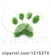 Poster, Art Print Of 3d Grass Pet Paw Print