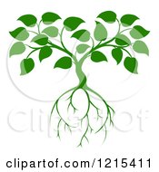 Clipart Of A Green Seedling Tree With Leaves And Roots 2 Royalty Free Vector Illustration by AtStockIllustration