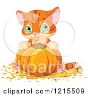 Poster, Art Print Of Cute Orange Kitten Sitting Behind A Pumpkin