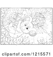 Clipart Of An Outlined Koala On A Tree Branch Royalty Free Vector Illustration