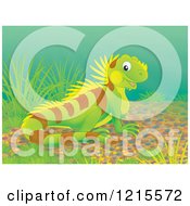 Poster, Art Print Of Cute Happy Iguana Lizard In Nature
