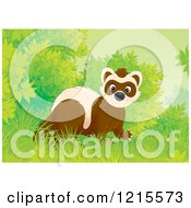 Poster, Art Print Of Cute Happy Polecat Weasel In Nature