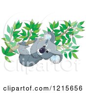 Poster, Art Print Of Cute Koala Clinging To A Tree Branch