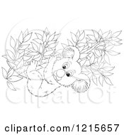 Clipart Of An Outlined Cute Koala Clinging To A Tree Branch Royalty Free Vector Illustration