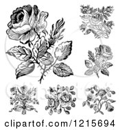 Poster, Art Print Of Black And White Rose Designs