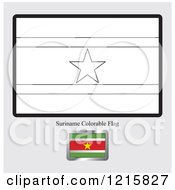 Poster, Art Print Of Coloring Page And Sample For A Suriname Flag