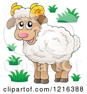 Poster, Art Print Of Standing Happy Ram Sheep