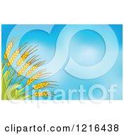 Poster, Art Print Of Rushes Of Wheat Over Blue Sky