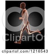Poster, Art Print Of 3d Running Xray Man With Visible Skeleton And Highlighted Knees Over Black
