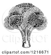 Clipart Of Vintage Woodcut Styled Broccoli In Black And White Royalty Free Vector Illustration