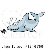 Poster, Art Print Of Shark Stalking Its Prey