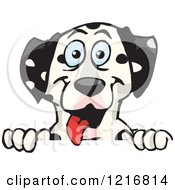 Poster, Art Print Of Happy Dalmatian Dog Panting Over A Sign