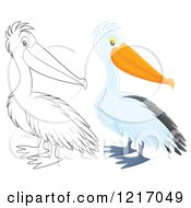 Poster, Art Print Of Cute Airbrushed Pelican In Color And Outline