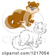 Poster, Art Print Of Cute Weasel In Color And Black And White