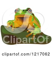 Poster, Art Print Of European Tree Frog