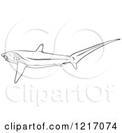 Poster, Art Print Of Black And White Pelagic Thresher Shark