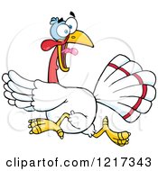 Poster, Art Print Of Scared White Thanksgiving Turkey Bird Running