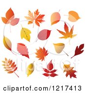 Clipart Of A Colorful Autumn Leaves Royalty Free Vector Illustration