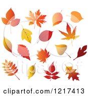 Poster, Art Print Of Colorful Autumn Leaves