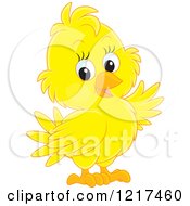 Poster, Art Print Of Cute Yellow Baby Parrot