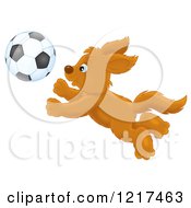 Poster, Art Print Of Happy Dog Chasing A Soccer Ball