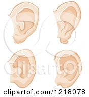 Poster, Art Print Of Human Ears