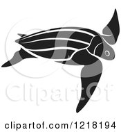 Poster, Art Print Of Black And White Swimming Sea Turtle