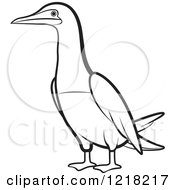 Poster, Art Print Of Outlined Bobo Booby Bird