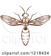 Brown And White Wasp