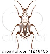 Poster, Art Print Of Brown And White Beetle 3