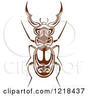 Poster, Art Print Of Brown And White Beetle