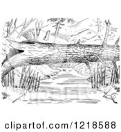 Clipart Of A Black And White Log Over A River With Mink Traps On The Shore Royalty Free Vector Illustration by Picsburg