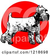 Standing Black And White Schnauzer Over A Red Circle