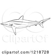 Poster, Art Print Of Black And White Silky Shark