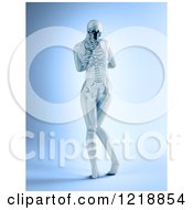 Poster, Art Print Of 3d Rear View Of A Female With Visible Skeleton