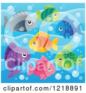 Poster, Art Print Of Cute Colorful Fish In Blue Water