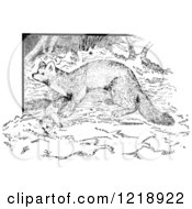 Clipart Of A Black And White Marten Royalty Free Vector Illustration