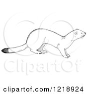 Poster, Art Print Of Black And White White Weasel